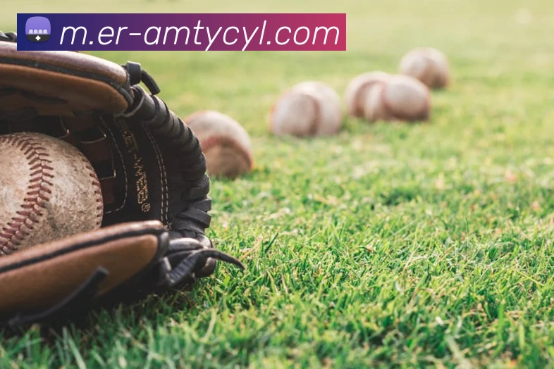 太阳城网站服务体系